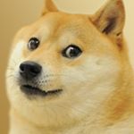 Profile Picture of Robert Grigorian (@doge_is_the_username) on Instagram