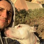 Profile Picture of James Maldonado (@ugly4983) on Instagram