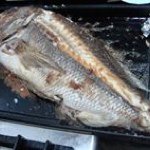 Profile Picture of Robert Milić (@gulja113) on Instagram