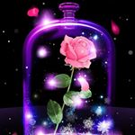Profile Picture of Crystal Gayle (@crystal.palmer.524) on Instagram