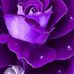 Profile Picture of Russell Thacker (@russell.thacker.773) on Facebook