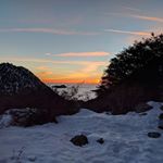 Profile Picture of James Jameson (@oddorphan) on Instagram