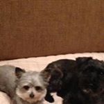 Dawn Brule - Instagram Profile Picture of Dawn Brule (@dbrule2008) on Instagram