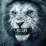 Profile Picture of lisa Mackintosh (@lisamackintosh8) on Instagram