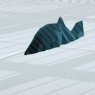 Profile Picture of Crystal Fish Swim In Concrete River To (@crystalfishvibe) on Twitter