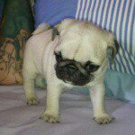 Profile Picture of kim rupert (@world_kr) on Instagram