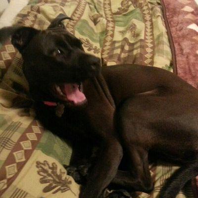 Profile Picture of Jon Rutten (@JonRutten) on Twitter