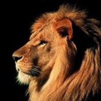 Profile Picture of Luis Fernando Rosero Zapata (@luis-fernando-rosero-zapata) on Quora