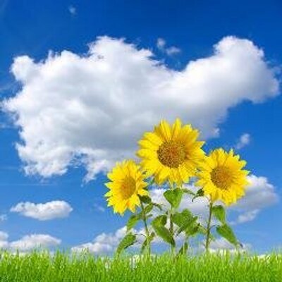 Profile Picture of David Eridani Geffen (@davidgeffen999) on Twitter