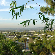 Profile Picture of Linh Do (@linhdo4846) on Youtube