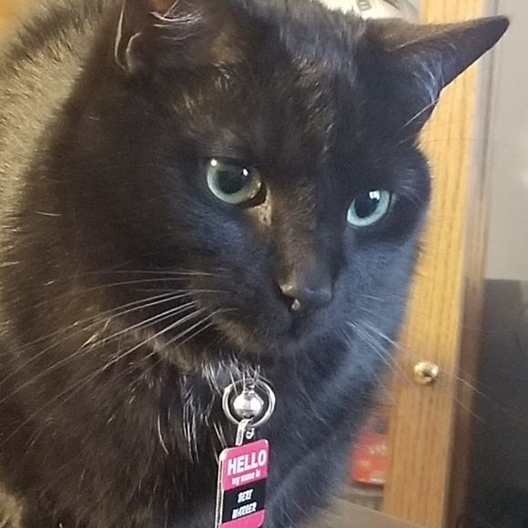 Profile Picture of Neal Warrer (@chgowolvs44) on Poshmark