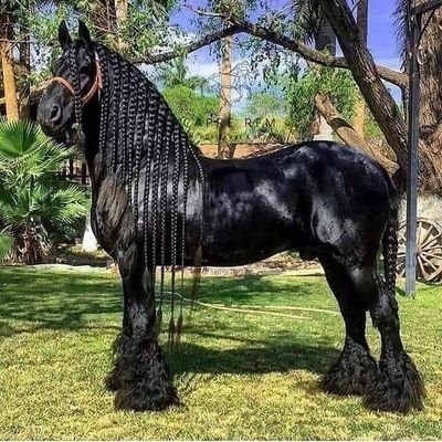 Profile Picture of José David Carrillo Solano (@JosDavidCarril7) on Twitter