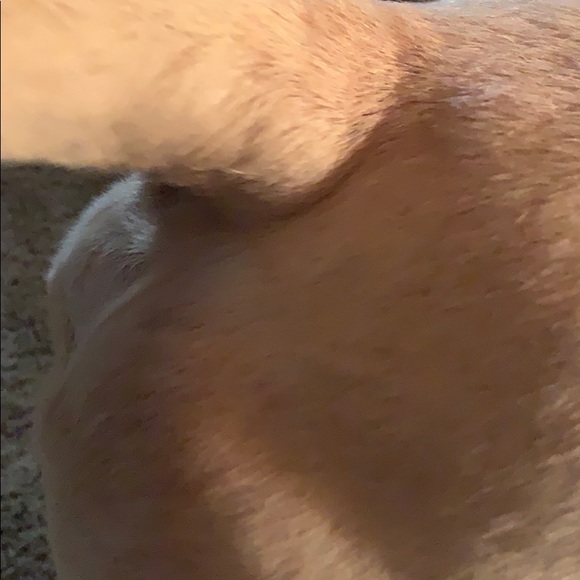 Profile Picture of Travis Ferreira (@travisferreira) on Poshmark