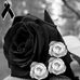 Profile Picture of Gerardo Preciado (@gerardo.preciado.188) on Facebook