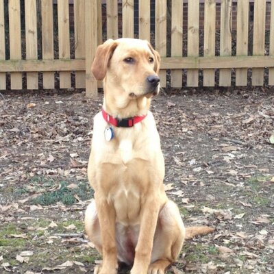 Profile Picture of Fr. James M. Labosky (@FrJamesMLabosky) on Twitter