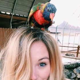 Profile Picture of Tina Hull (@kristinahulll) on Pinterest
