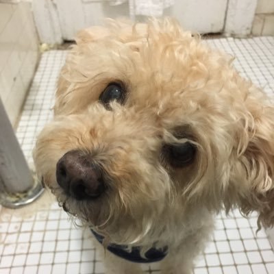 Profile Picture of Agnes Alvarez (@Jailnurse55) on Twitter