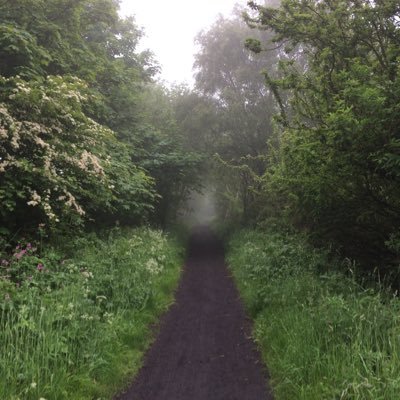 Profile Picture of Benjamin Costello (@BenCostello77) on Twitter