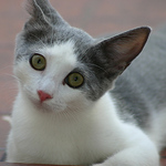 Profile Picture of Federico Bosio (@lejos es no estar) on Flickr