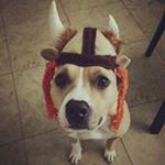 Profile Picture of Kevin Muirhead (@kevjmuir) on Instagram