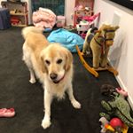 David Zimmerman - Instagram Profile Picture of David Zimmerman (@dezeeman) on Instagram