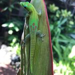 Profile Picture of Jacob Mendenhall (@jacob.mendenhall) on Instagram