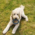 Profile Picture of Max Ralston (@adventuresofmaxralston) on Instagram