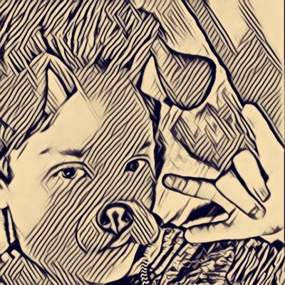 Profile Picture of Ben Clough (@BenCloughVlogs) on Twitter