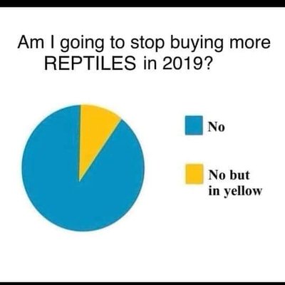 Profile Picture of Andrew Hartshorn (@beanbag451) on Twitter