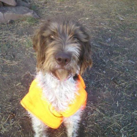 Profile Picture of Mary jeanette Solt (@nettie1376) on Poshmark