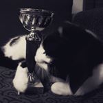Profile Picture of David Burtscher (@d.burtscher_91) on Instagram