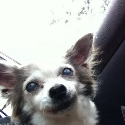 Profile Picture of Bryan Gamboa (@gambonga) on Twitter