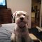 Profile Picture of Joe Lemaster (@Joe-Lemaster) on Facebook