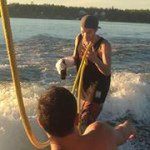 Profile Picture of Aaron Balogh (@aaronbalogh) on Instagram