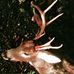 Profile Picture of Bill McTavish (@bill.mctavish.984) on Facebook