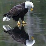 Profile Picture of Charles Conover (@conovercharles) on Instagram