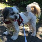 Profile Picture of Martina Glasbrenner (@martinaglasbrenner) on Instagram