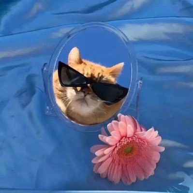 Profile Picture of Charles Rain (@Charlesrain5) on Twitter