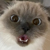 Profile Picture of Katherine Dietrich (@strawberrywine_) on Youtube