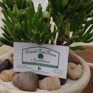 Profile Picture of Round Tree Farm Greenhouse (@roundtreefarm) on Instagram