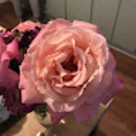 Profile Picture of Paula Nesbit (@pknesbit) on Poshmark