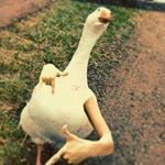 Profile Picture of Daniel Gogolev (@s_h_a_r_e) on Instagram