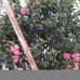 Profile Picture of Manuela Chaves (@manuela.chaves.948) on Facebook