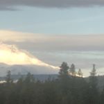 Thomas Sisk - Instagram Profile Picture of Thomas Sisk (@tsiskh) on Instagram