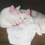 Profile Picture of Nancy Patten (@patten.nancy) on Instagram