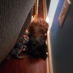 Profile Picture of David Limerick (@david.limerick) on Facebook