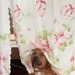 Profile Picture of Catherine Ripdos (@Catherine-Ripdos) on Facebook