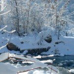 Profile Picture of Wade (@wademickelson5cy) on Instagram