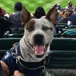 Profile Picture of Rainier Souvannarath-Bello (@oralerain) on Instagram