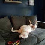 Profile Picture of Eugene Burnett (@eugene.burnett1) on Instagram